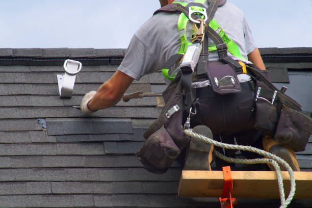 Best Roof Maintenance Services  in Cordova, AK