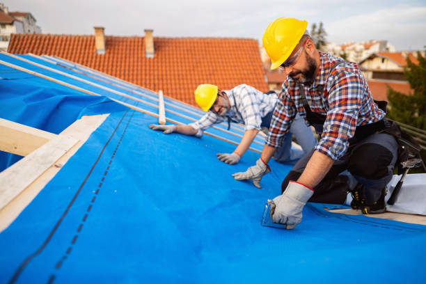 Best Roof Waterproofing Services  in Cordova, AK