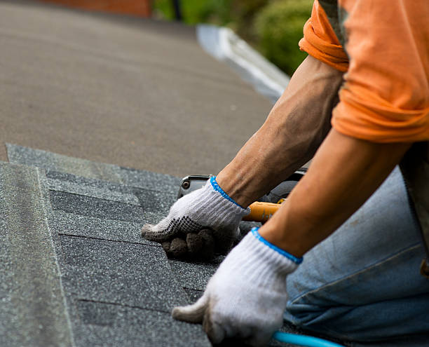 Professional Roofing Contractor in Cordova, AK