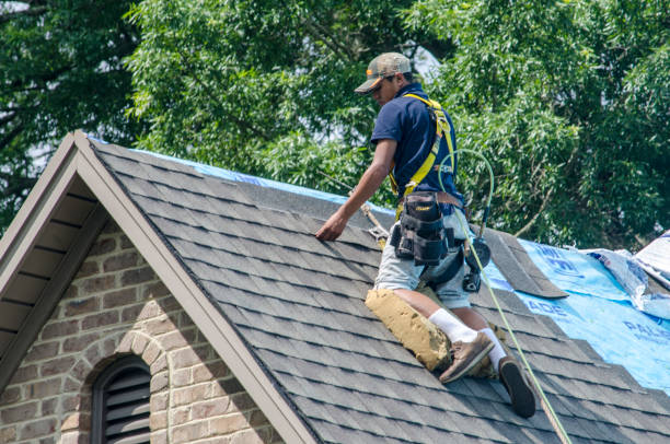 Residential Roof Replacement in Cordova, AK